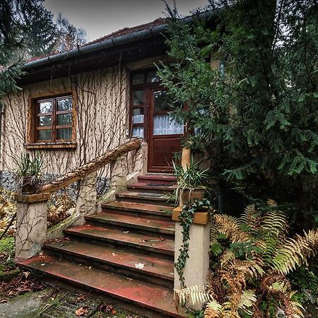 Boroka Apartmanhazak - Oereghaz Velem Værelse billede