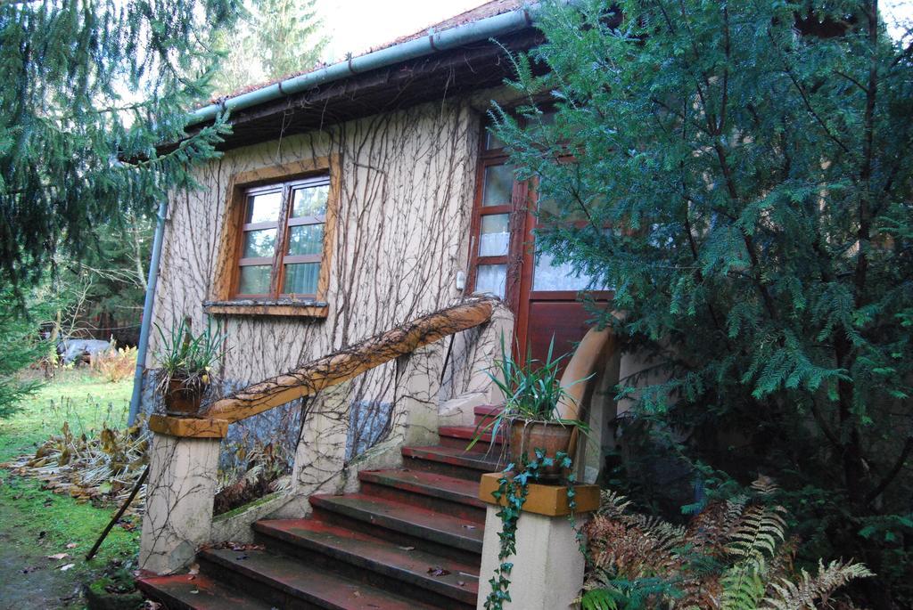 Boroka Apartmanhazak - Oereghaz Velem Værelse billede